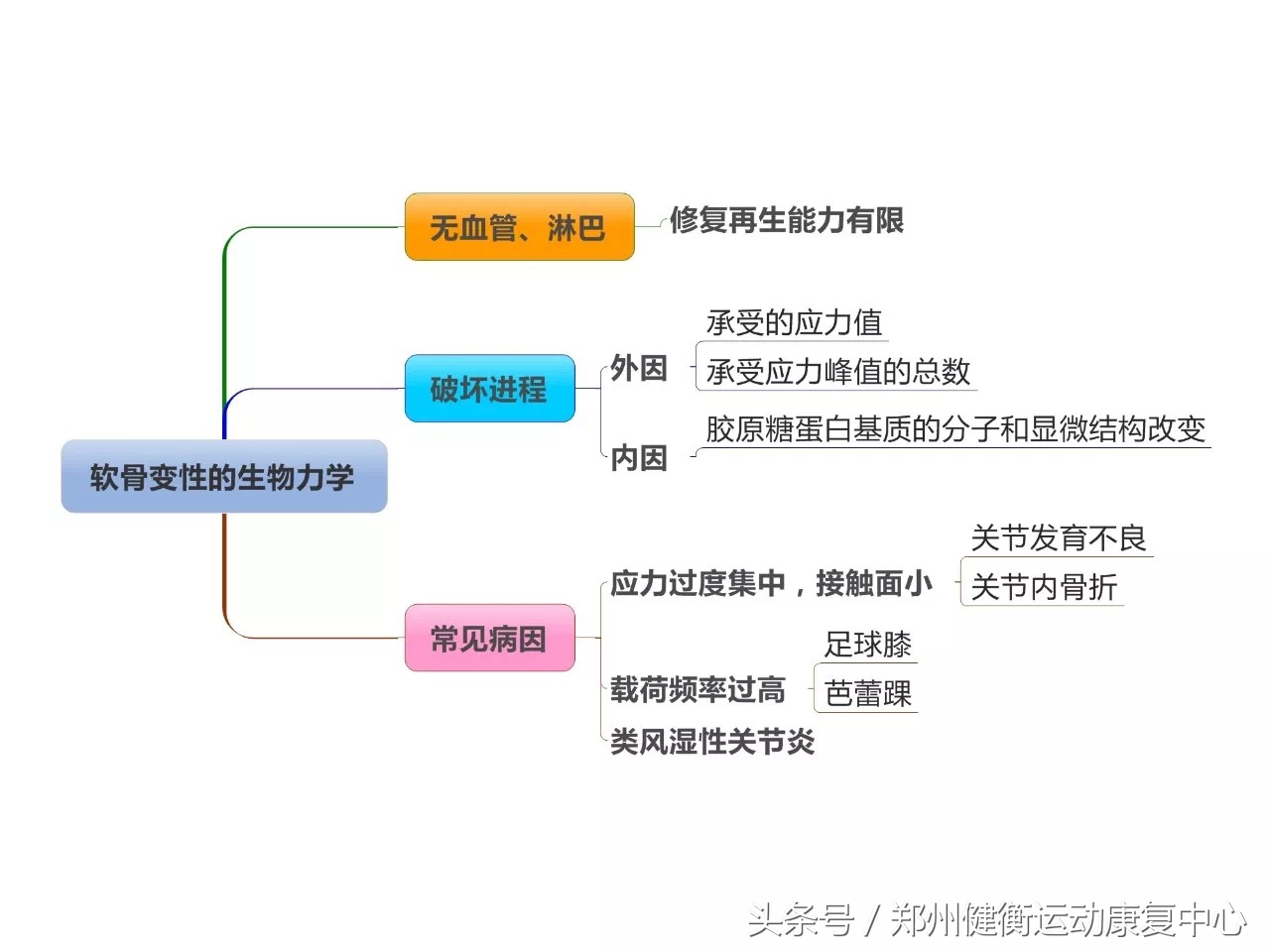 康复治疗技术专业职业思维导图,康复工程知识点思维导图