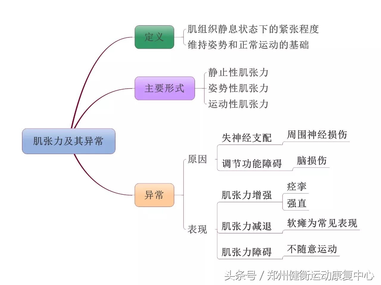 康复治疗技术专业职业思维导图,康复工程知识点思维导图