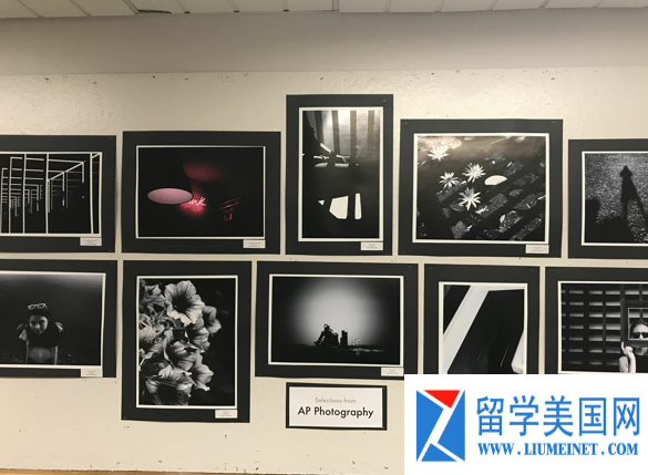 17年美高,美高17