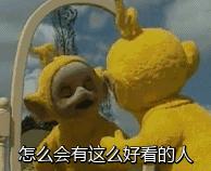 哈哈哈，原谅我拖拉机般的笑声！当喵星人被蜜蜂蜇了之后