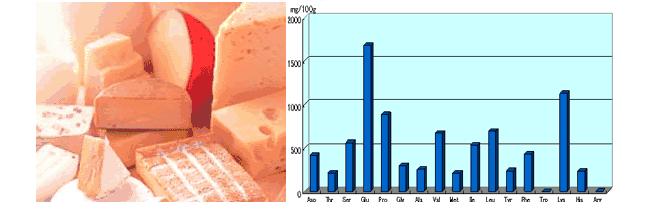 各种氨基酸之间的区别在于什么,氨基酸你知道是什么吗