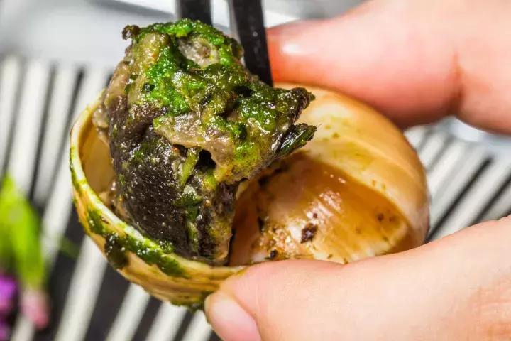 上海静安日料店新店开业,静安区这家日料店一绝