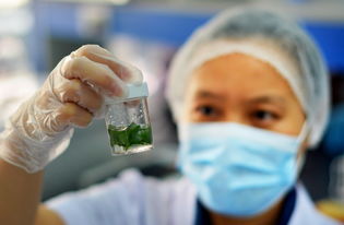 看懂甲状腺报告,你离康复又近了一步!