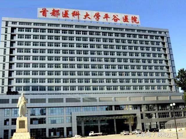 生活小贴士全部视频,生活贴士100例