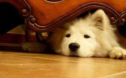 你以为我在逗你玩啊怎么幽默回复,你以为我在逗你玩吗怎么回答