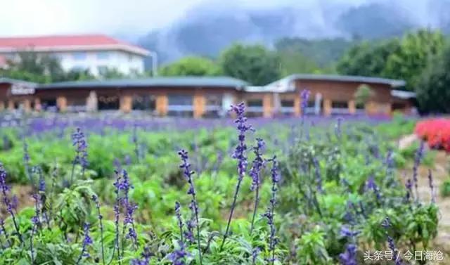 海沧半马时间,海沧半马结束时间