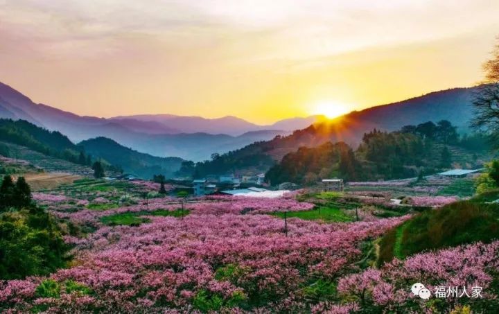 福建省最富10个县市排行榜,福建最好的城市排行榜