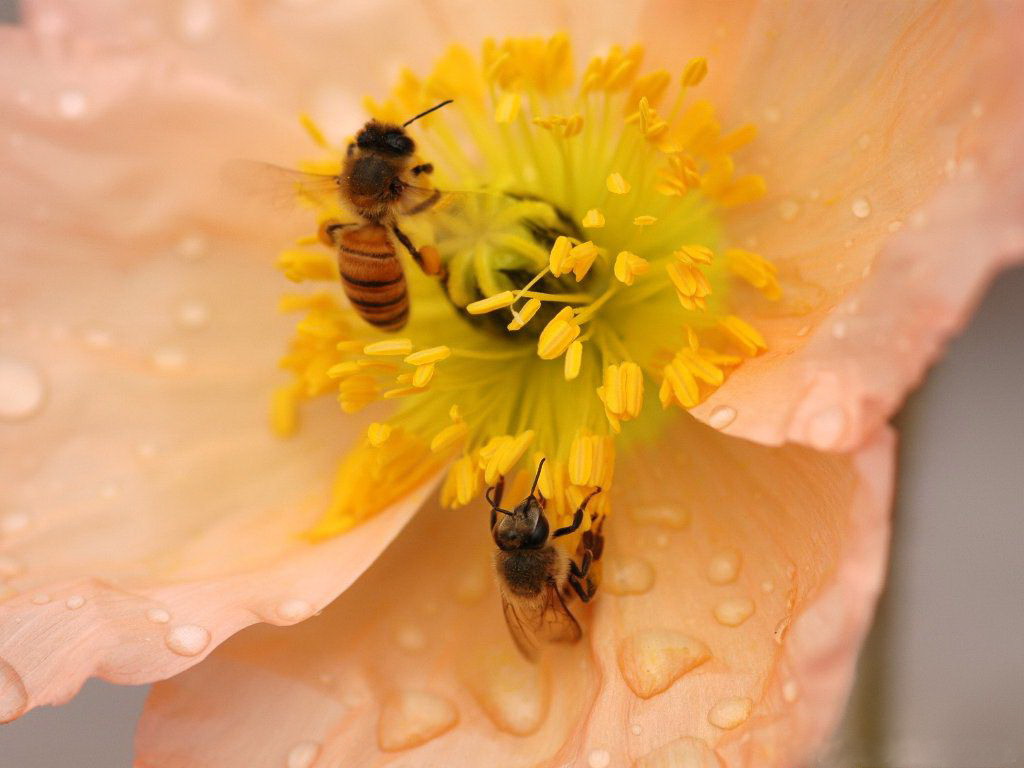 鼻炎流鼻涕中医辨证,经常流鼻涕解决小妙招