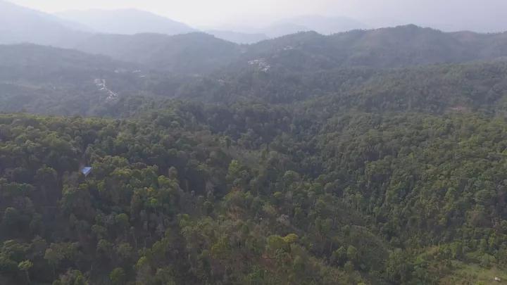 易武宋聘号蓝标,易武宋聘号茶沱