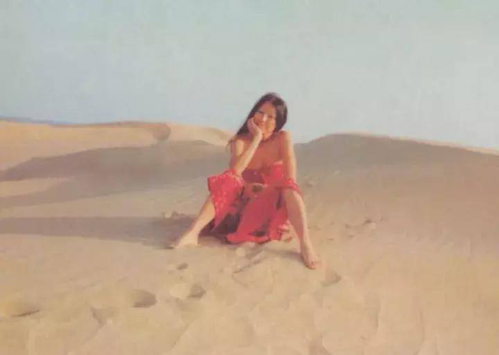 西天取景,西天取景挣大钱