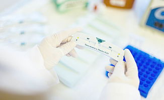 看懂甲状腺报告,你离康复又近了一步!