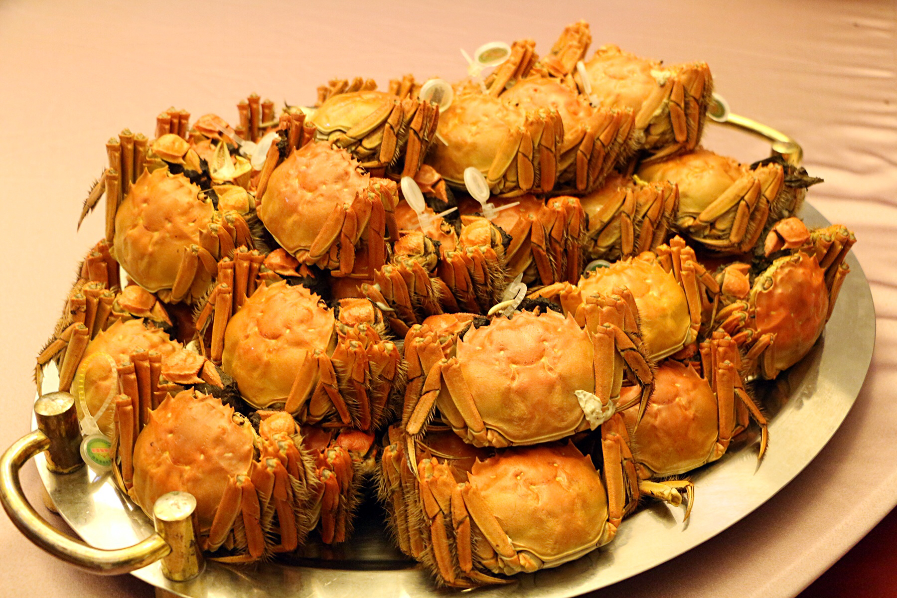 鑻忓窞闃虫緞婀栫編鍛崇壒浜уぇ闂歌煿,鑻忓窞鍚冮槼婢勬箹澶ч椄锜圭殑閰掑簵鎺ㄨ崘