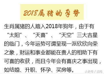 麦玲玲2020年生鼠宝宝,麦玲玲2022生鼠运程