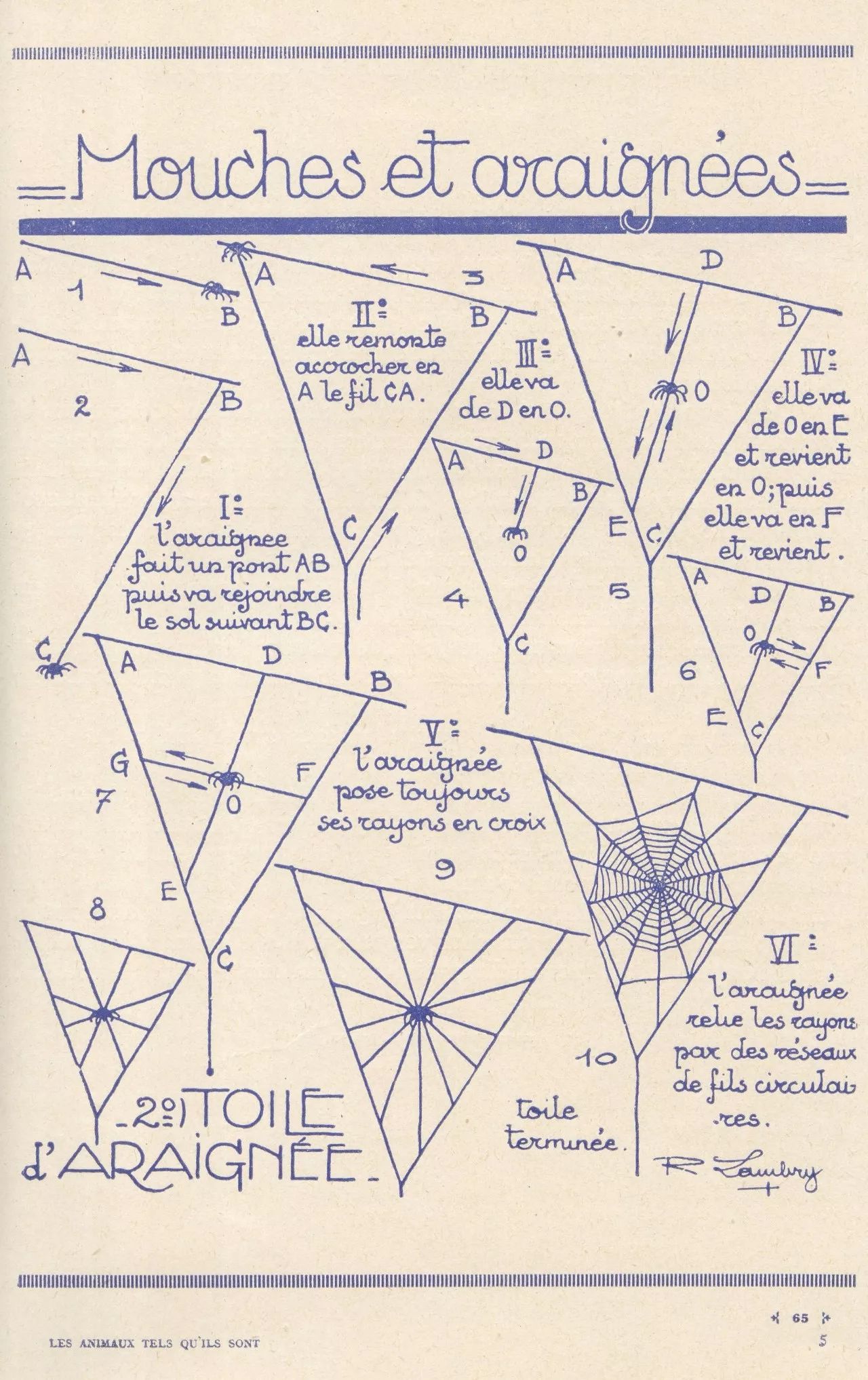 100个超简单的简笔画,2000个超详细简笔画教程
