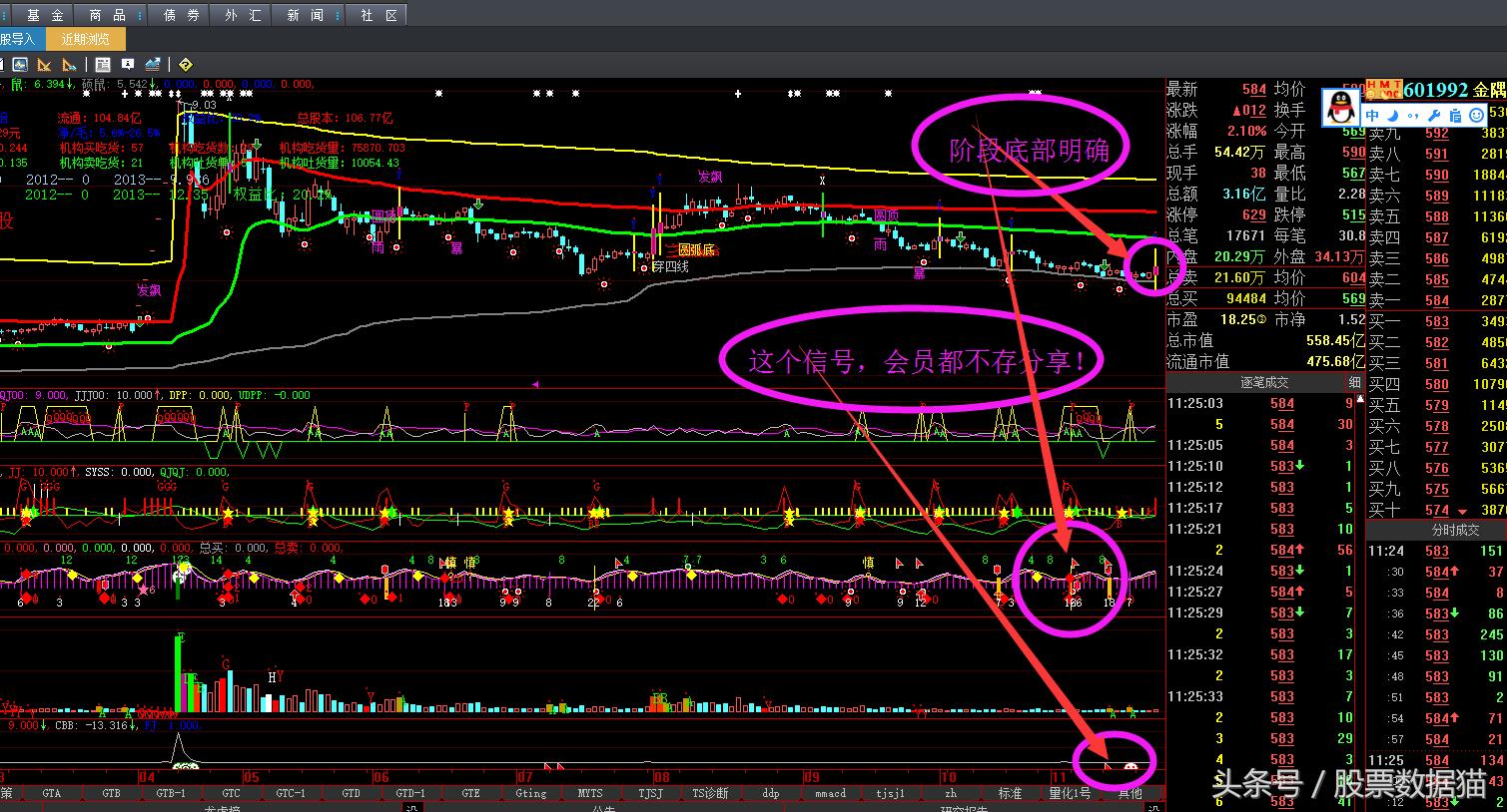 金隅股份最新深度分析,金隅集团股市分析图表最新