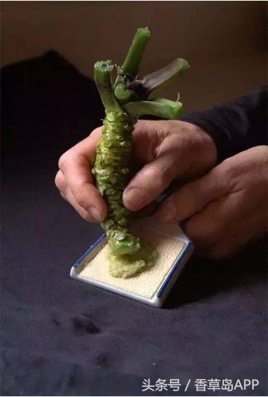 山葵辣根芥末的日语分别是什么,芥末系辣根山葵图片