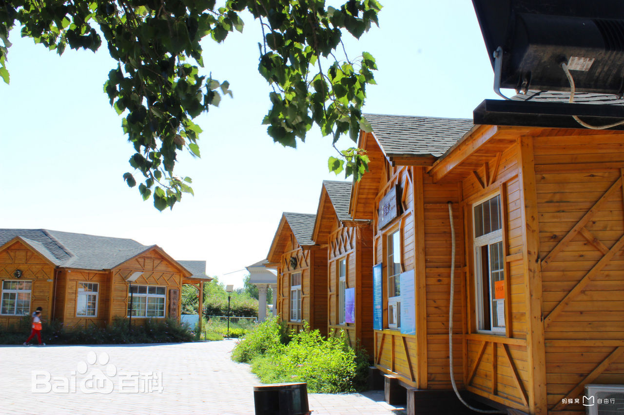 蓝调薰衣草庄园门票,蓝调薰衣草庄园月季花