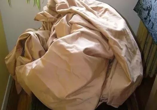 旧窗帘带圈怎么不花钱改成挂钩用,旧的窗帘不要了能做什么用呢