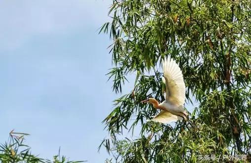 泰国自驾游要办哪些手续,泰国深度自驾线路推荐