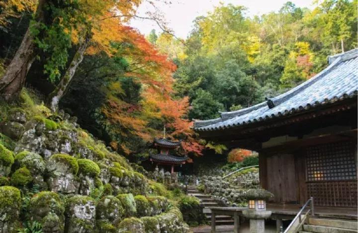 京都扫货攻略,京都购物省钱技巧