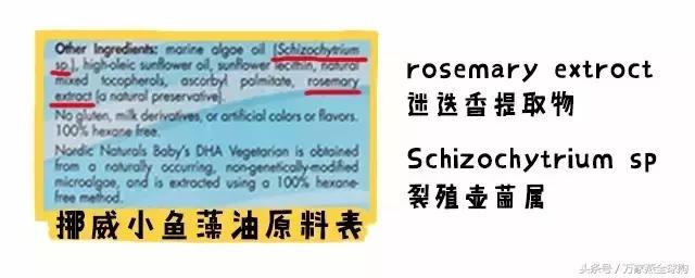 藻油epa作用与功效,藻油dha含epa