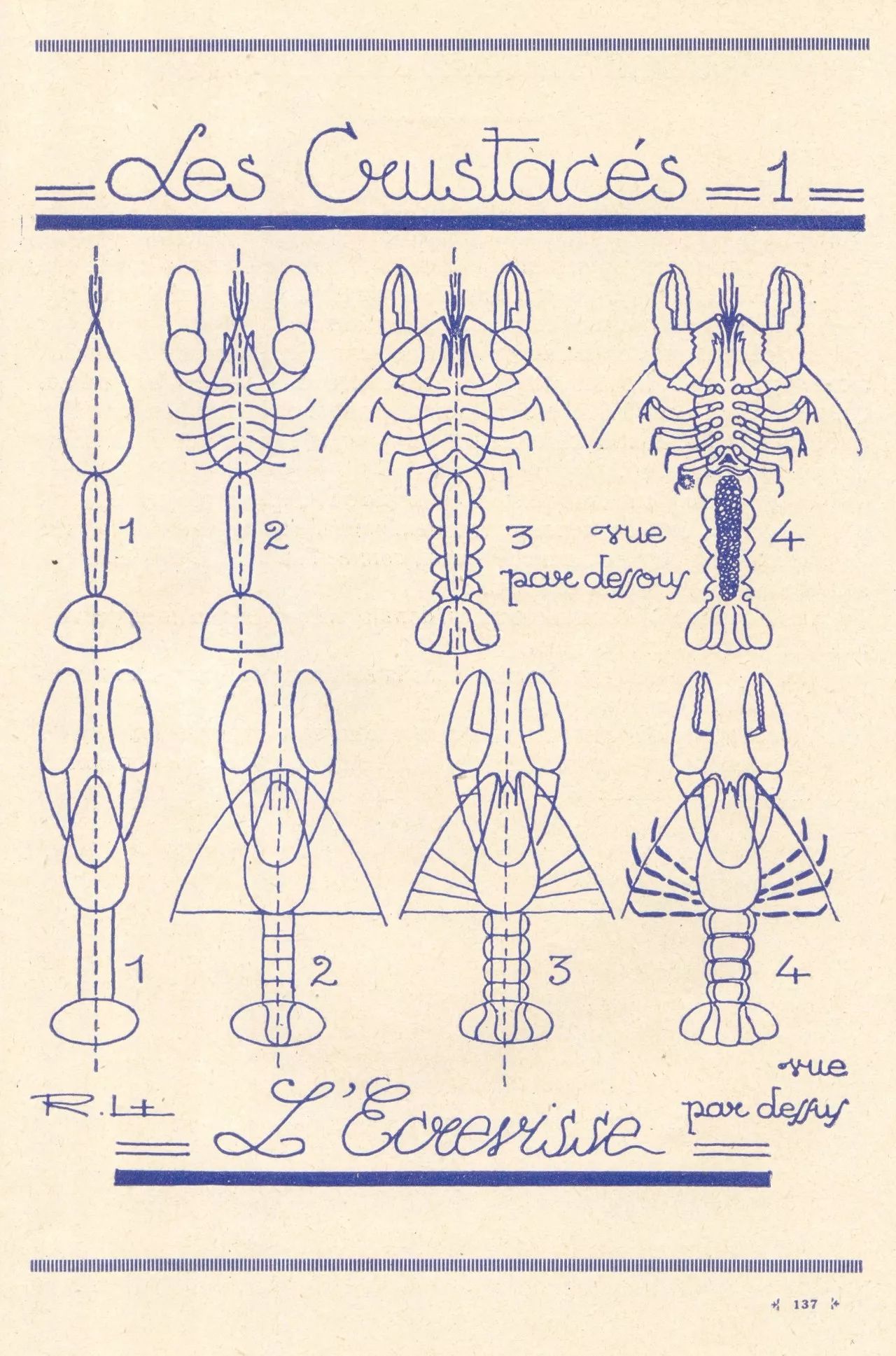 100个超简单的简笔画,2000个超详细简笔画教程