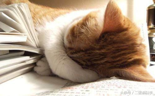 科普︱一看书就犯困，这病还能抢救一下吗？