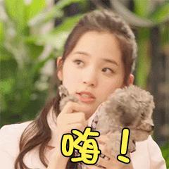 浅谈两大主流域名后缀,域名地址后的后缀新的含义是什么