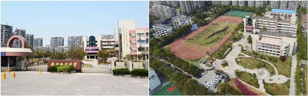 “国际滨欢迎您最佳组织奖暨空中看美丽学校”大赛开始了！