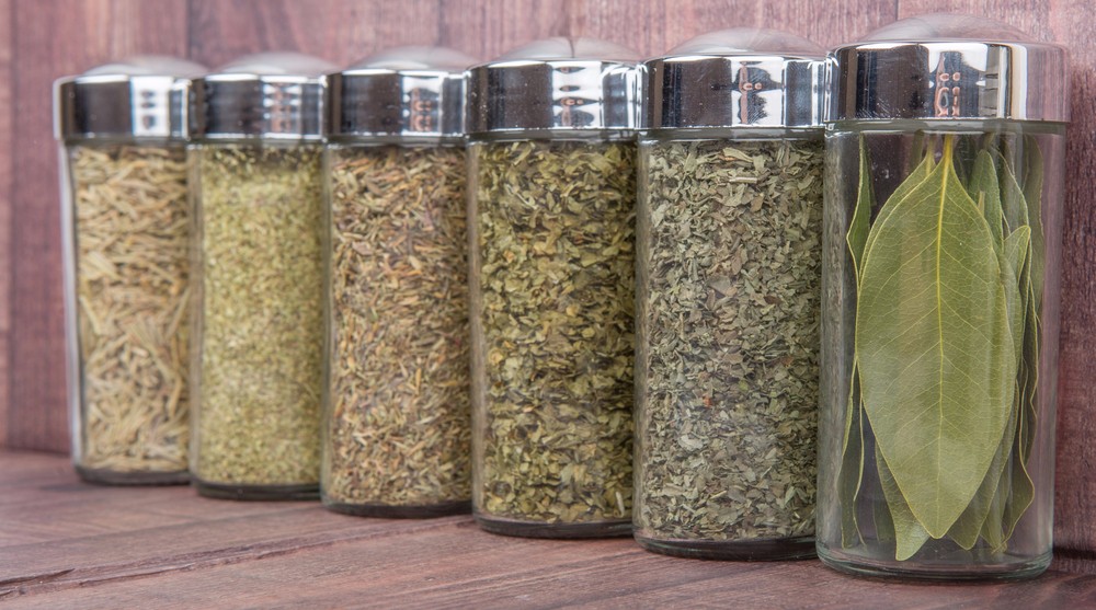 高大上的月桂,就在我们身边