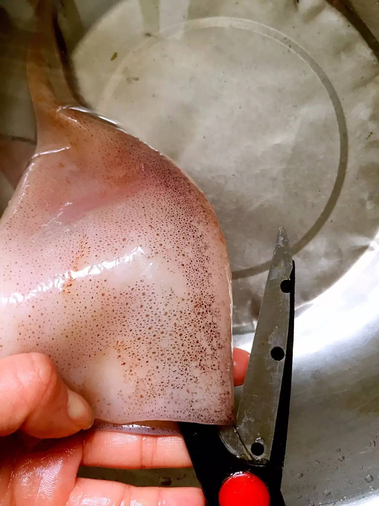 手把手教你切出漂亮鱿鱼花刀,鱿鱼花刀的几种切法