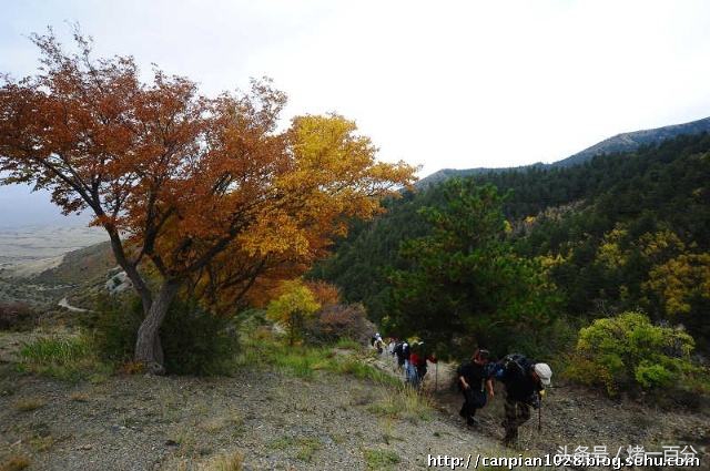 吴忠好玩的地方,吴忠旅游攻略一日游