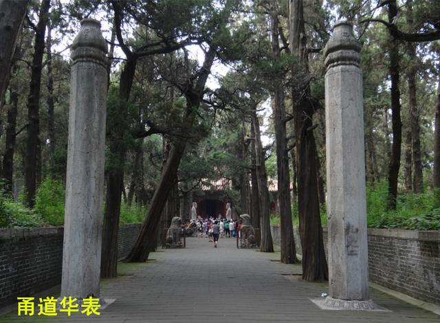 墓道石像生有什么说法,墓道前的石像