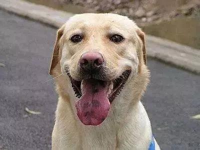 你以为我在逗你玩啊怎么幽默回复,你以为我在逗你玩吗怎么回答