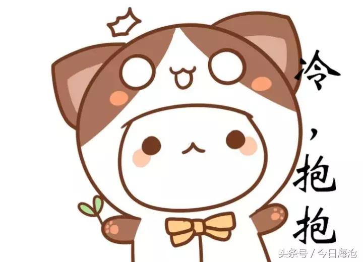 海沧半马时间,海沧半马结束时间