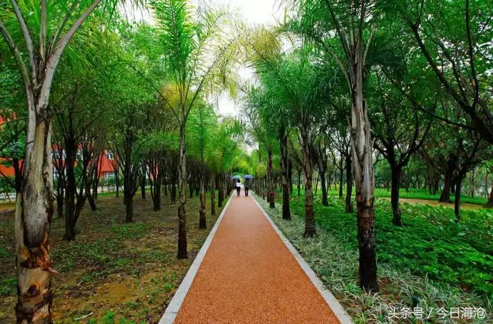 海沧半马时间,海沧半马结束时间