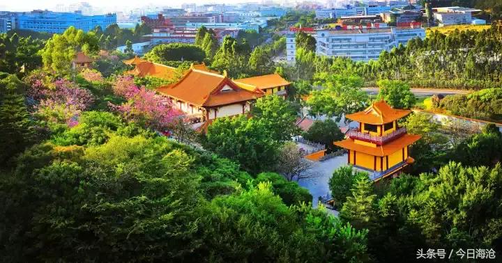 海沧半马时间,海沧半马结束时间