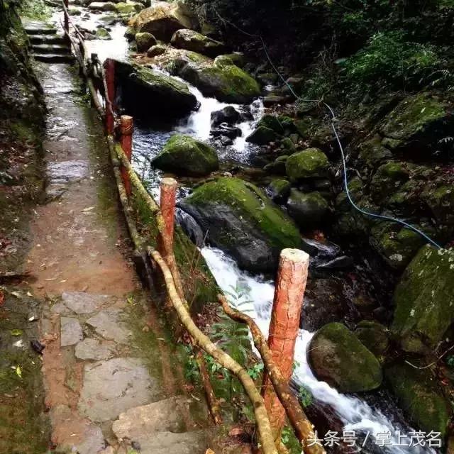 茂名最惊艳的城市,茂名城市美景