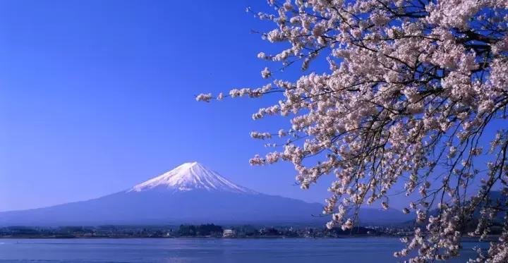 正品大牌哪里买最划算,大牌在哪国买最便宜