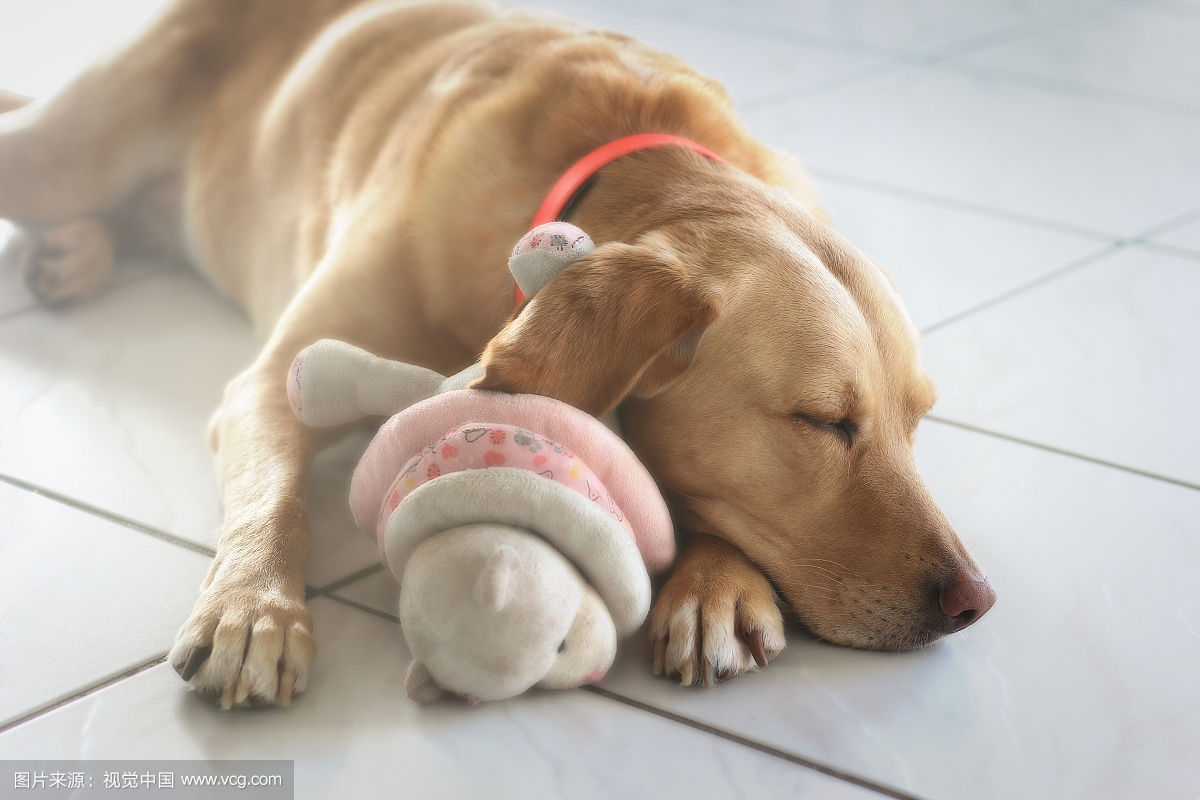 养生的重要性和不养生的区别,什么是养生该如何养生