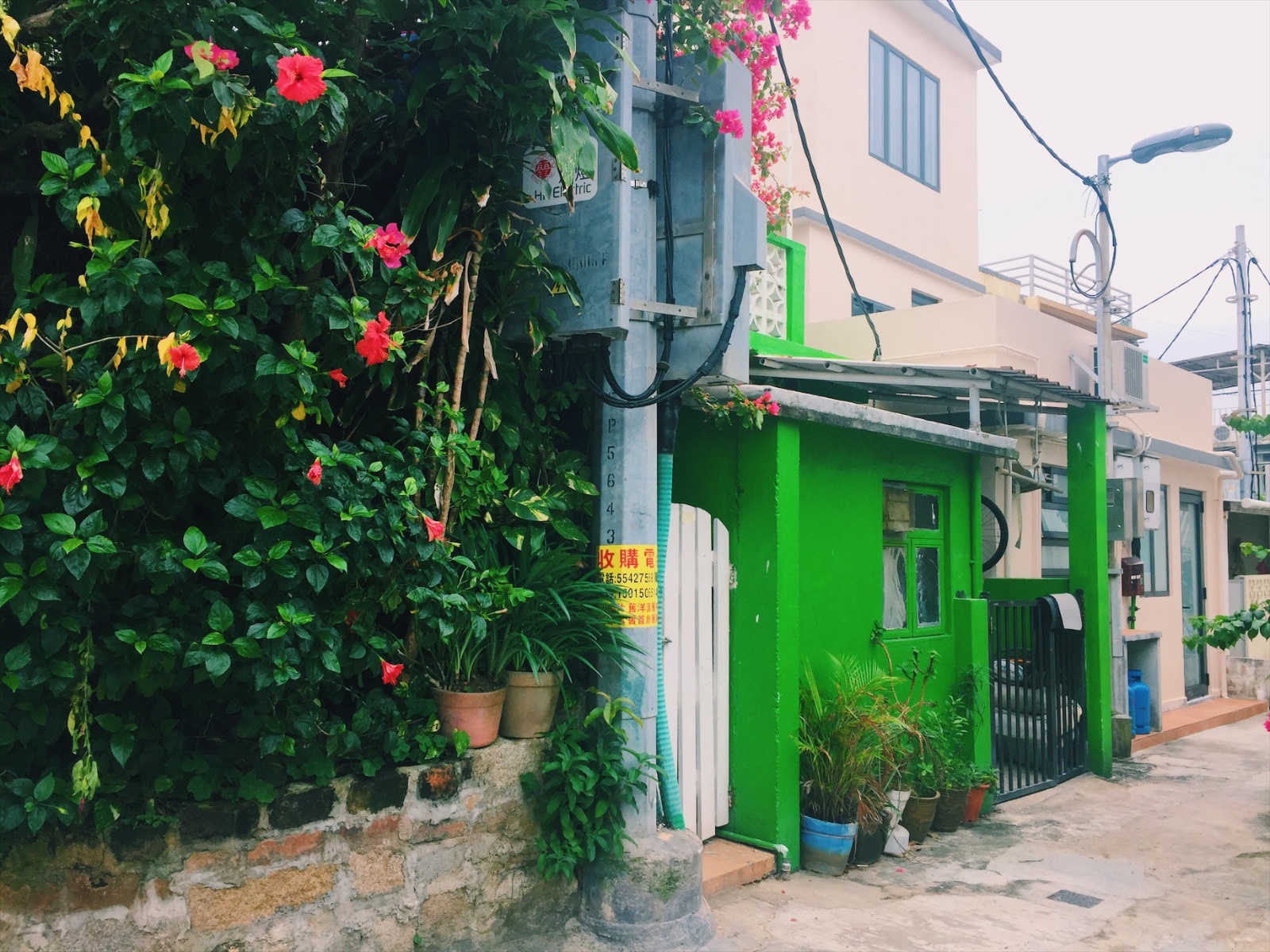 VA踩点|我养你啊