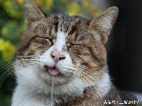 科普︱一看书就犯困，这病还能抢救一下吗？