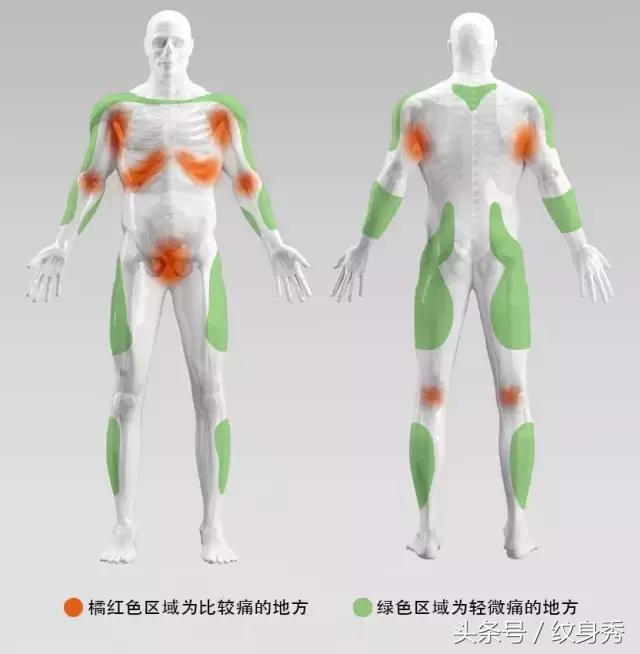 纹身刺痛权威报告，看了就能减轻纹身疼痛，没有不痛，只有不太痛