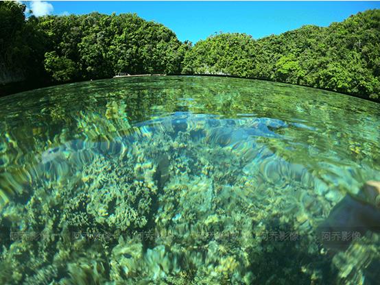 帕劳自由行,帕劳自由行最新攻略