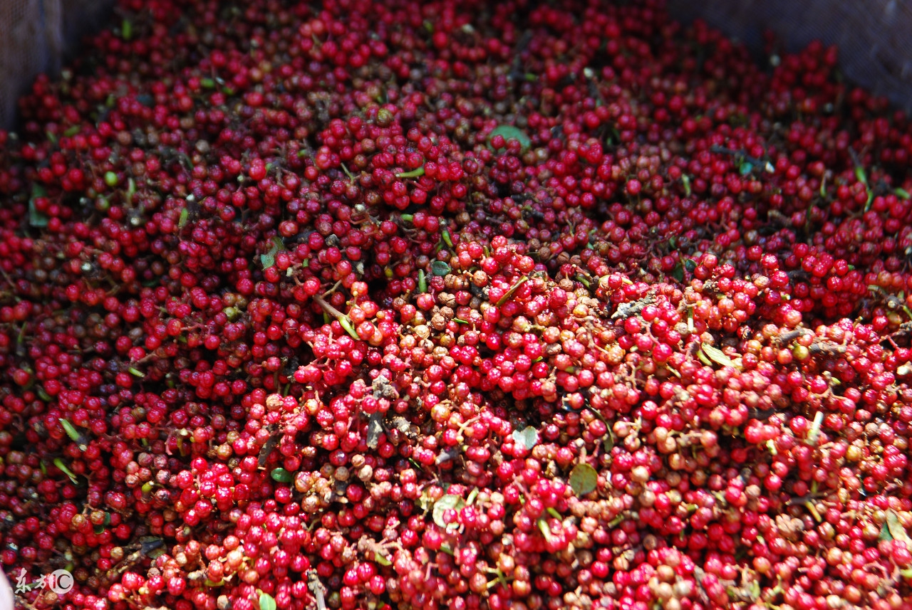 牙疼止疼小妙招简单一招解决,牙疼止疼的最有效的方法