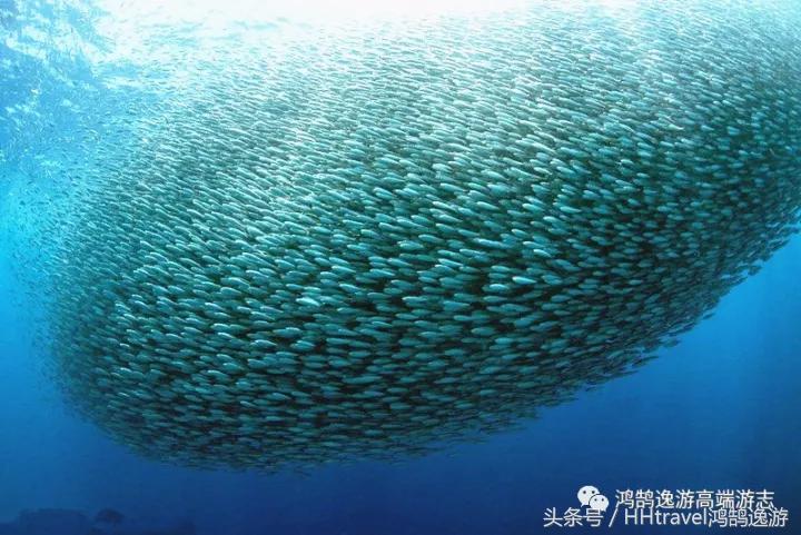 直飞新航线,国内开通直飞延吉的航线