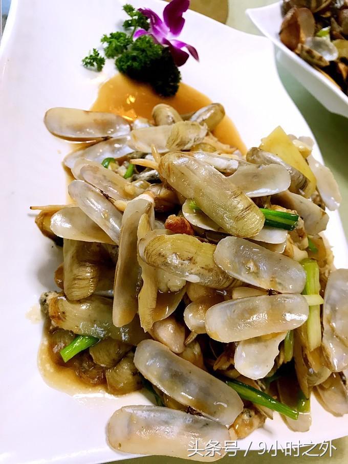 湛江天成台旅游,湛江天成台度假村有什么好玩的