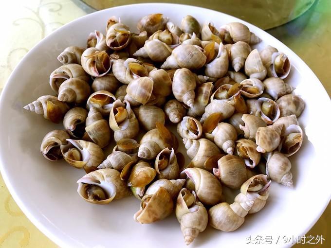 湛江天成台旅游,湛江天成台度假村有什么好玩的