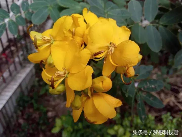 mix2手机现在售价,mix2还值不值得买