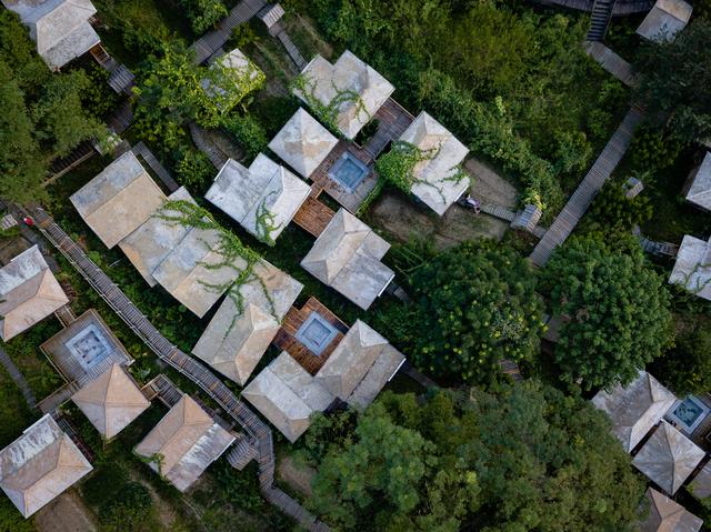 空山有灵，漫步阡陌